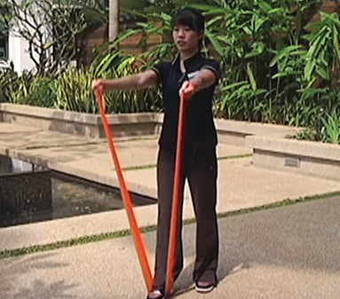 Resistance-Band-Exercises-Upper-and-Lower-Body Ergoworks