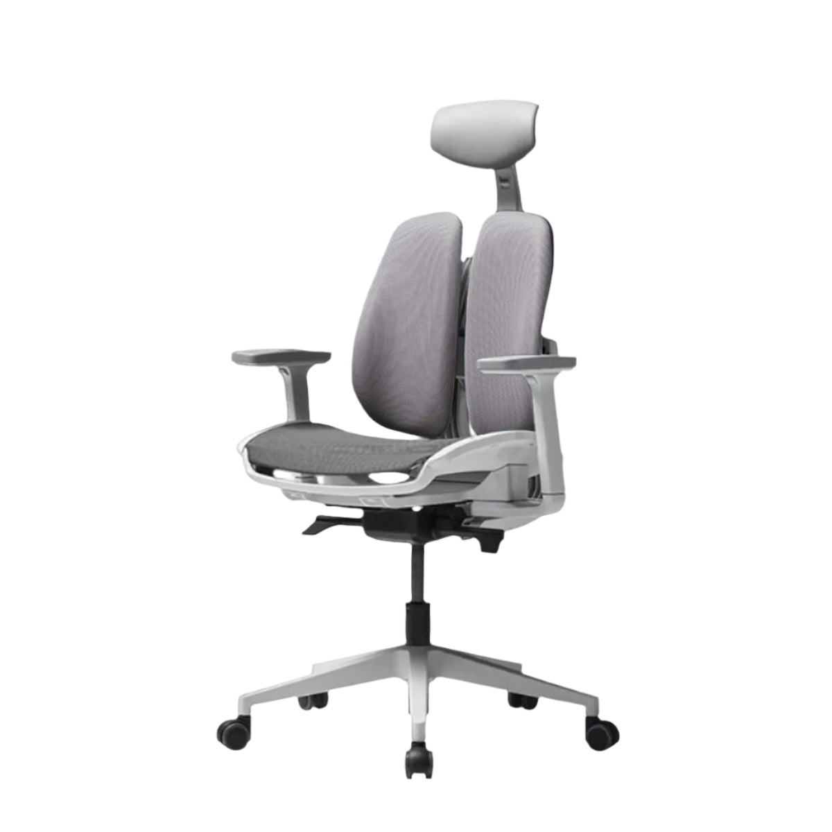 D2 Dual Comfort Chair D2-200M
