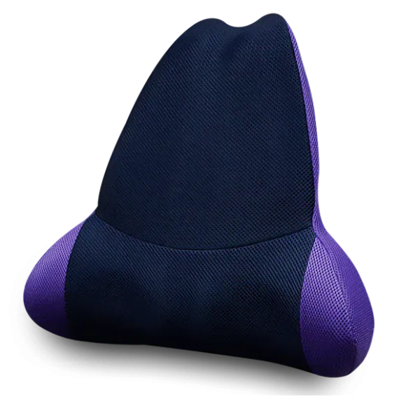 Ergoworks Back Care Purple Waist up Professional Backrest Ergoworks