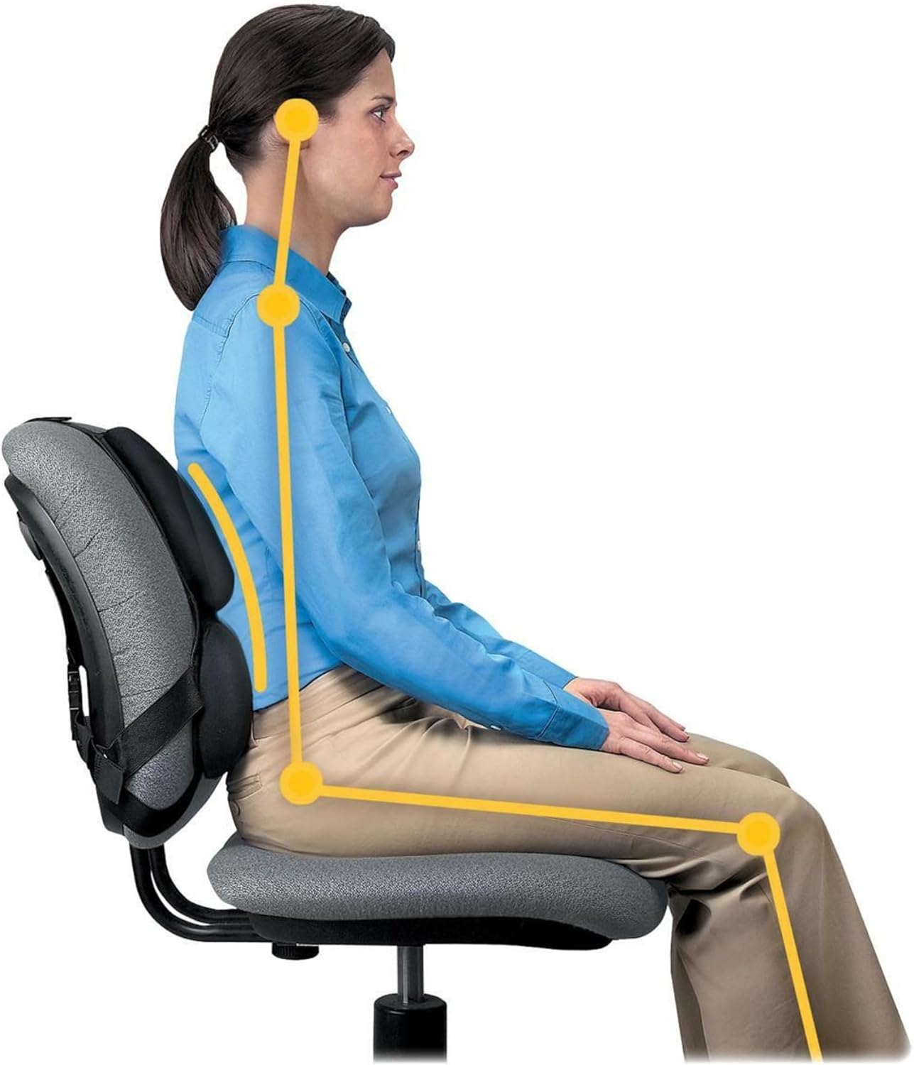FELLOWES FW-8041801-99 Professional Series Back Support, Black - Ergoworks