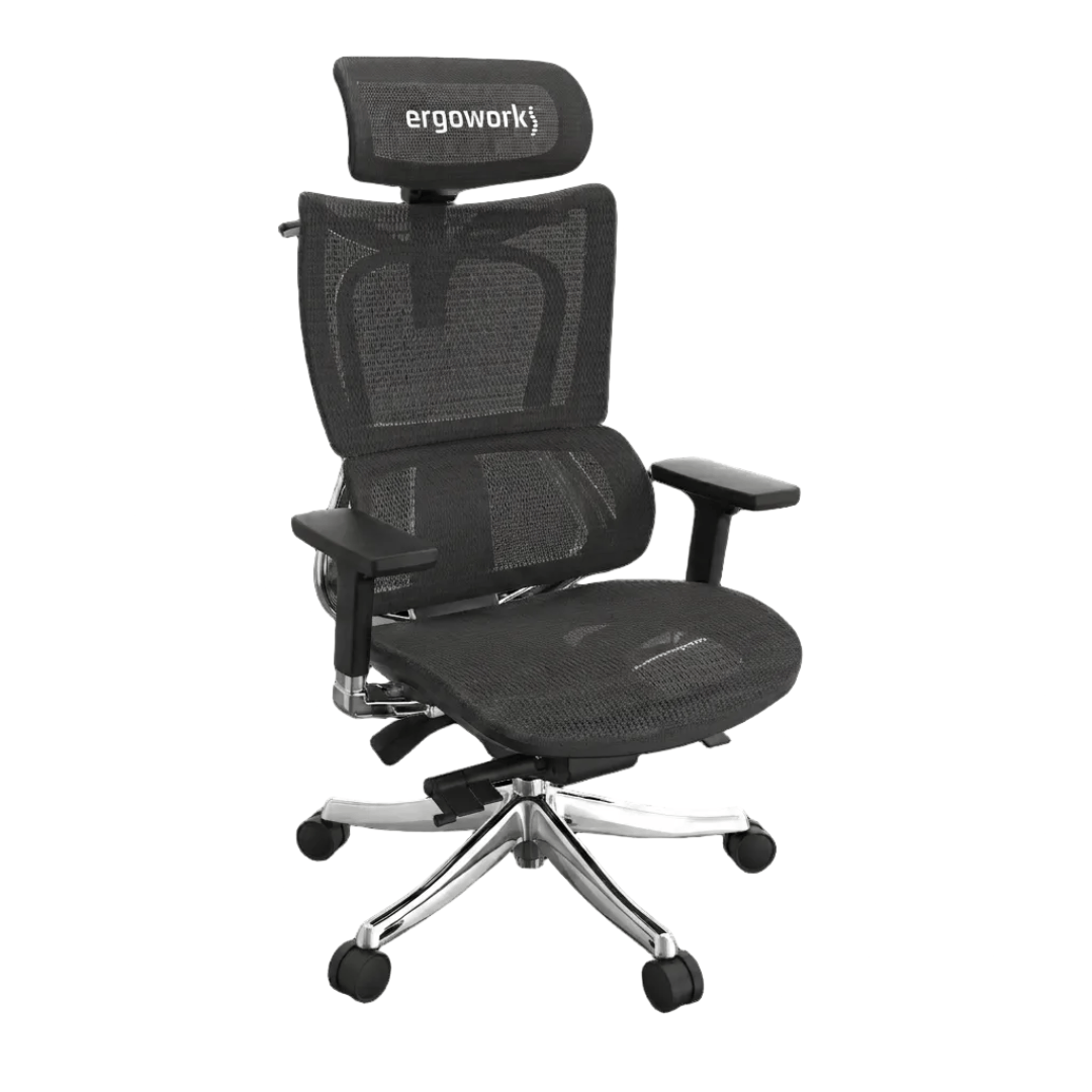 Ergoworks Office Chairs Black Frame/Black Mesh Truly Perfect Chair V2 Ergoworks