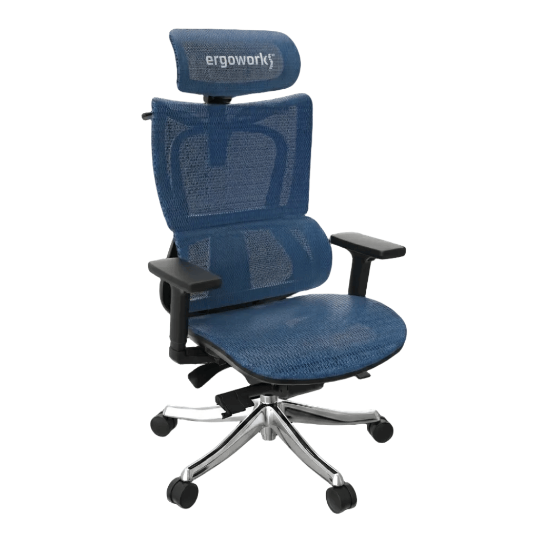 Ergoworks Office Chairs White Frame/Blue Mesh Truly Perfect Chair V2 Ergoworks
