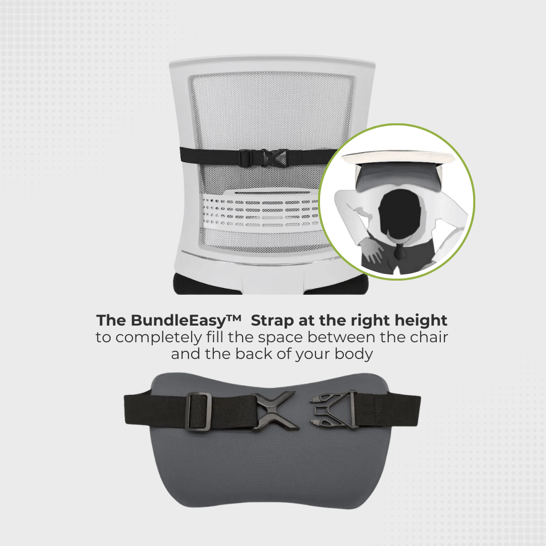 Ergoworks Lumbar Support Perfect Fit Lumbar Support Ergoworks