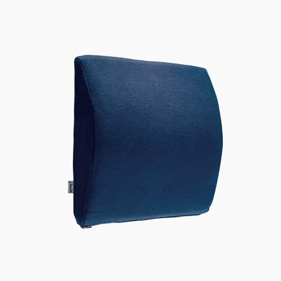 TEMPUR Transit Lumbar Support Ergoworks