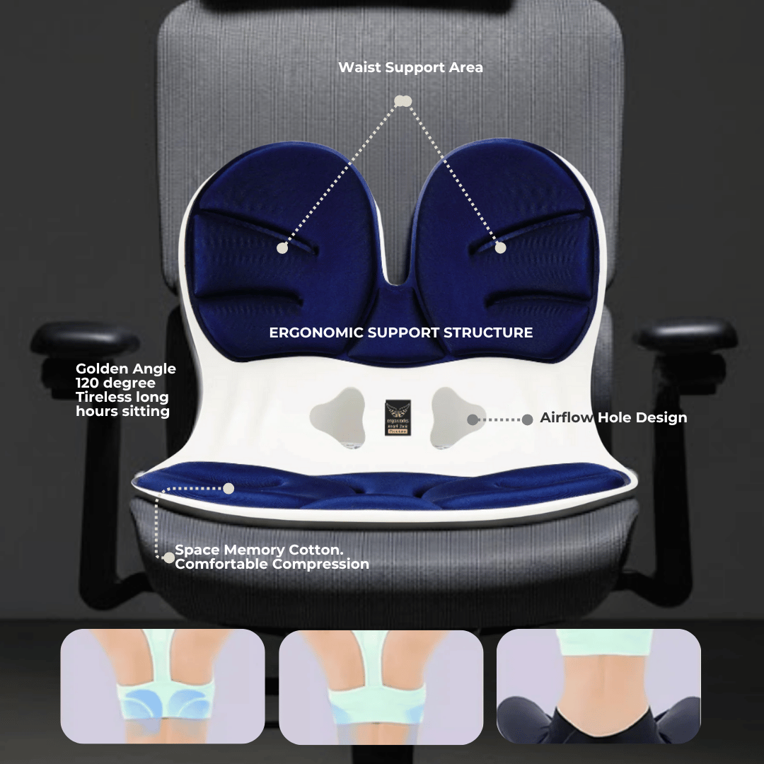 Posture Correction Angel Chair Seat Support - Ergoworks