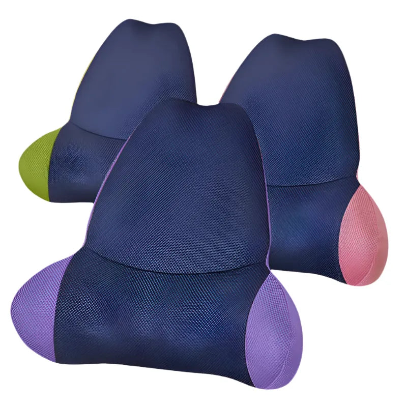 Ergoworks Back Care Waist up Professional Backrest Ergoworks