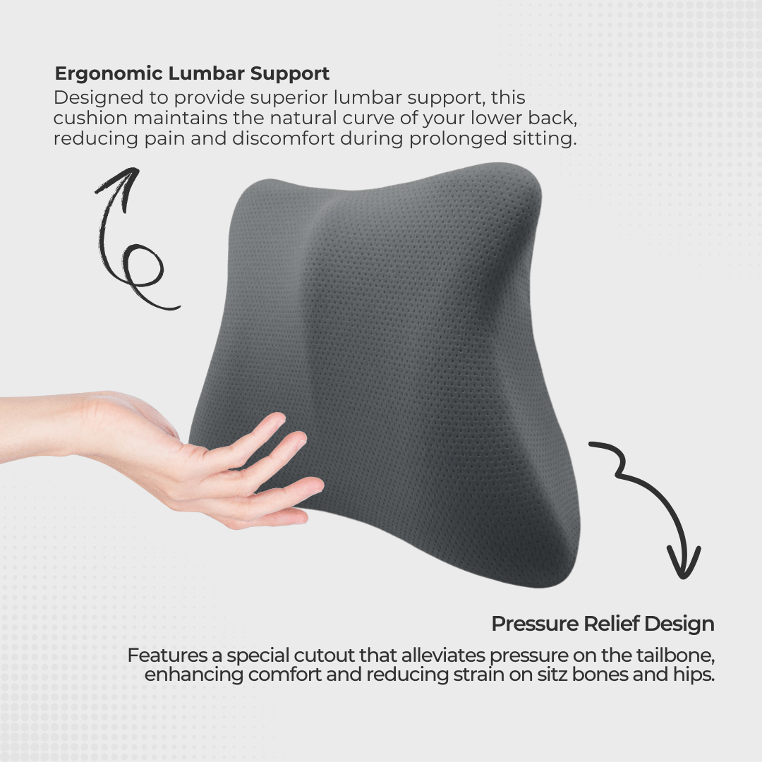 Comfort Back Rest Pocket Cushion - Ergoworks