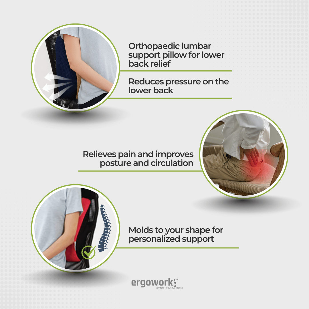 Ergoworks Perfect Posture Backrest L Ergoworks