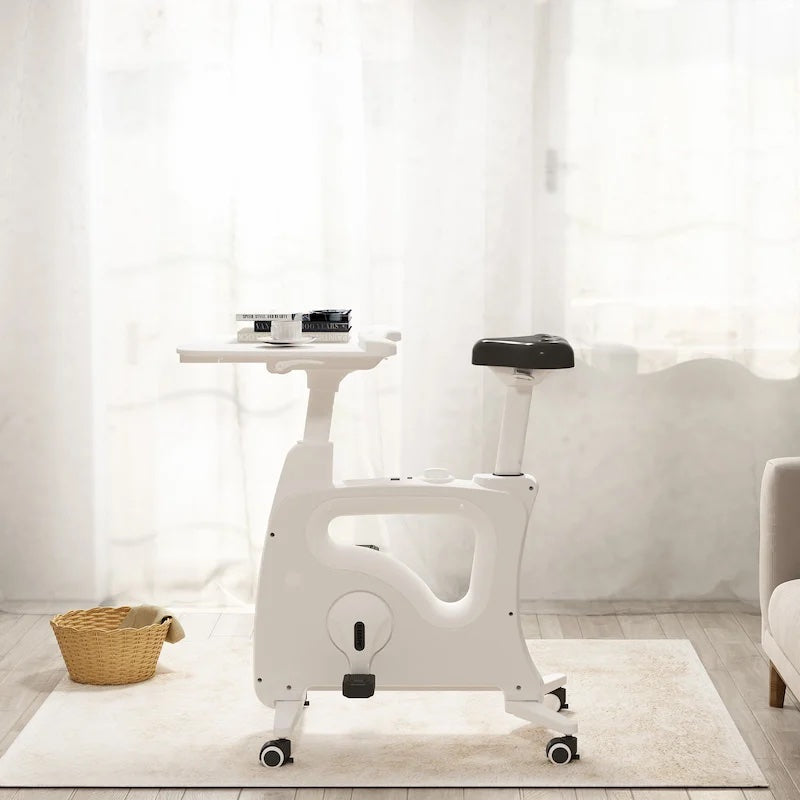 All-In-One Desk Bike Ergoworks