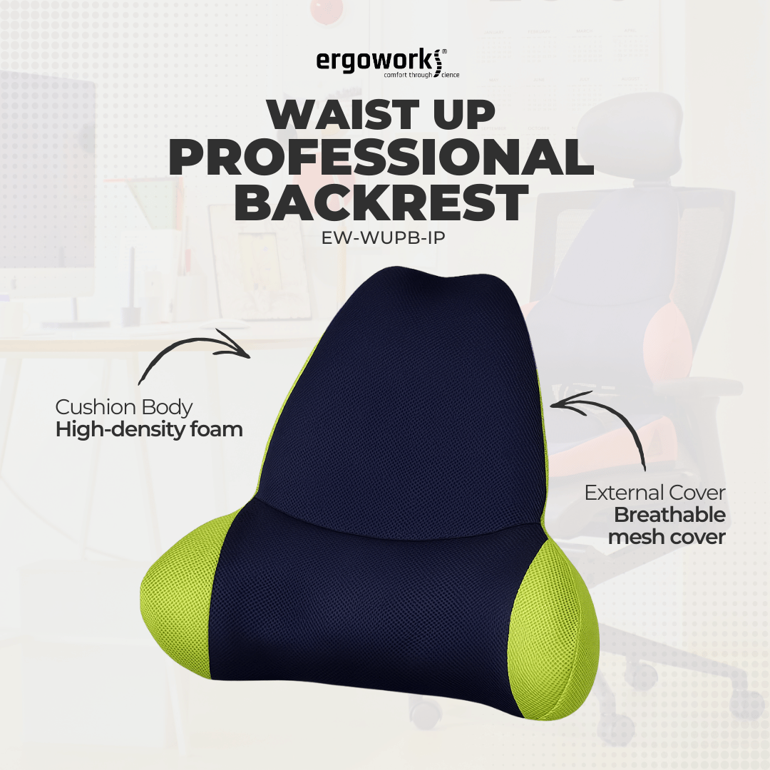 Waist up Professional Backrest