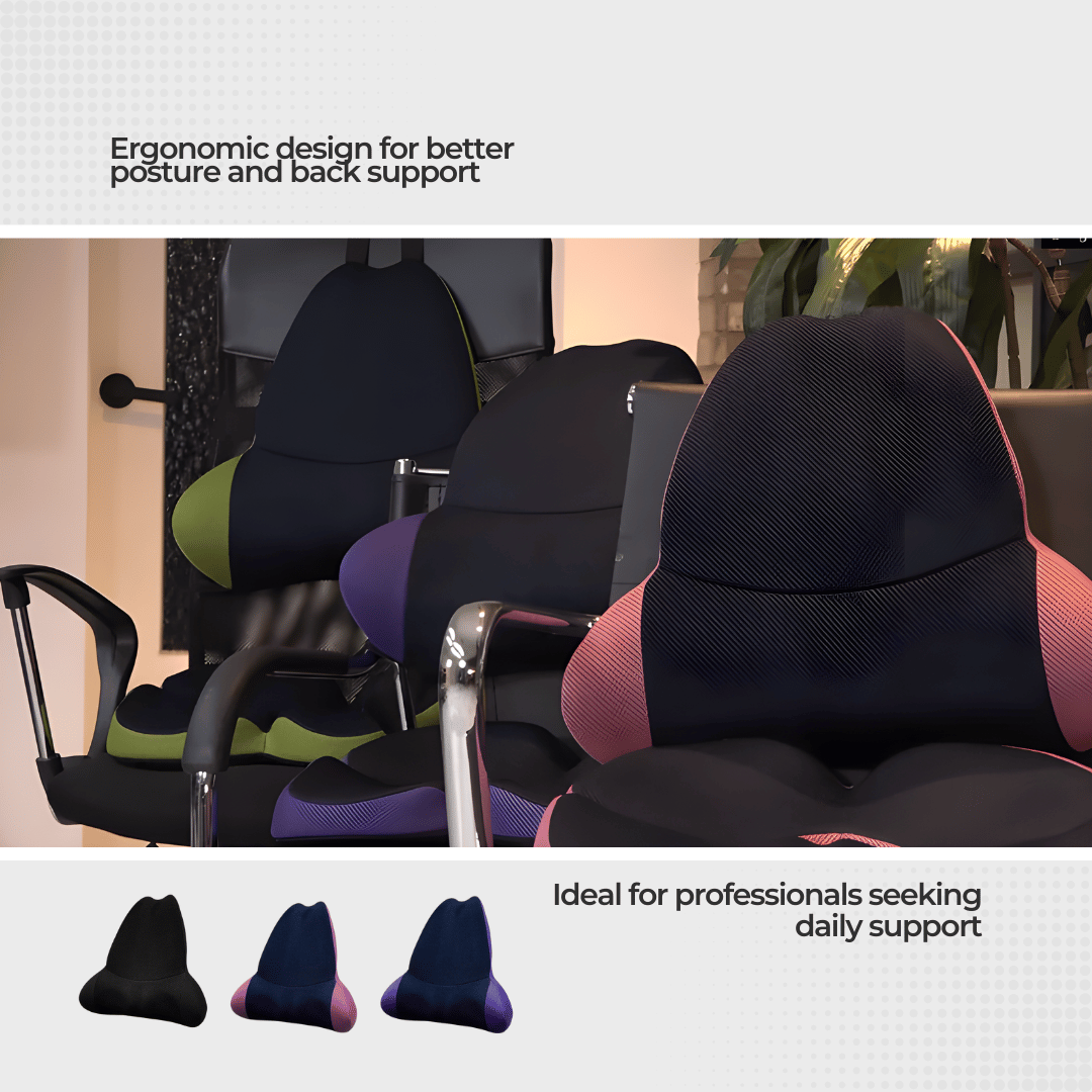Ergoworks Back Care Waist up Professional Backrest Ergoworks