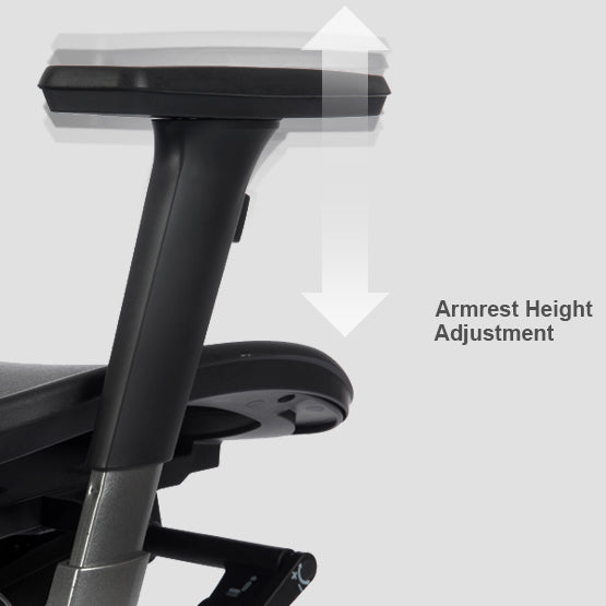Bravo Ergonomic Computer Chair - Ergoworks