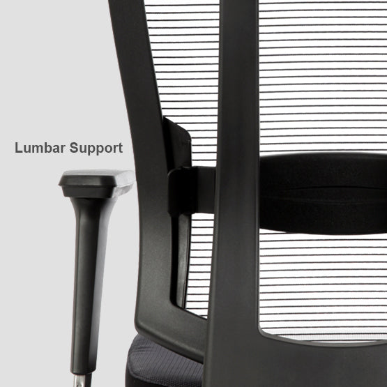 Bravo Ergonomic Computer Chair - Ergoworks