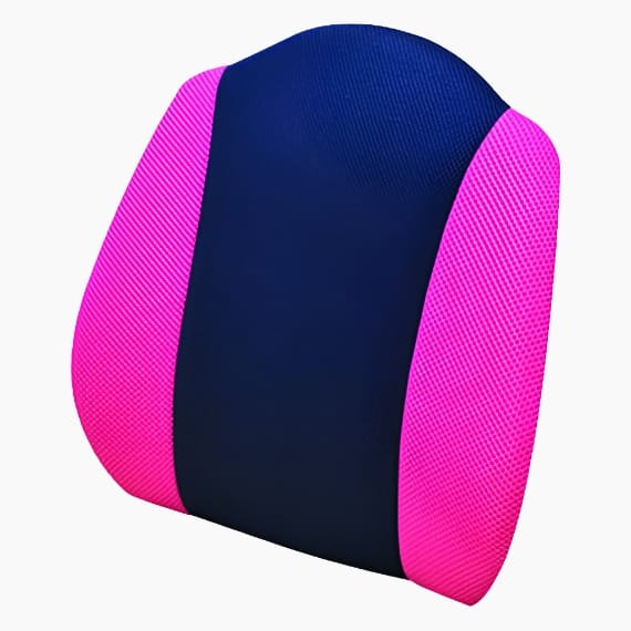 Ergoworks Pink Perfect Posture Backrest L Ergoworks