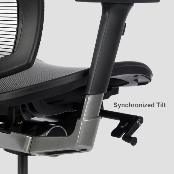 Bravo Ergonomic Computer Chair - Ergoworks