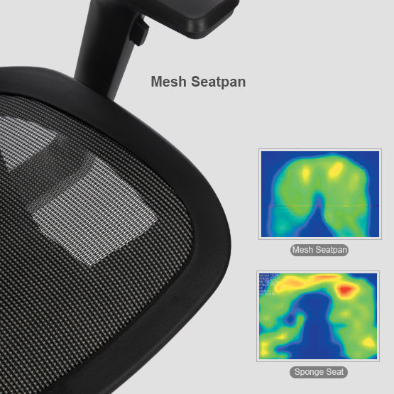 Bravo Ergonomic Computer Chair - Ergoworks