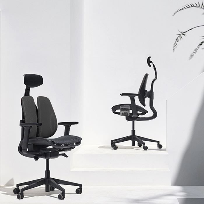 D2 Dual Comfort Chair D2-200M