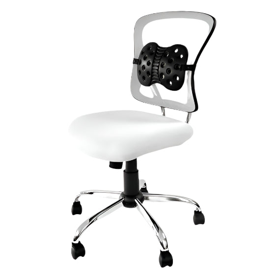lumbar support backrest