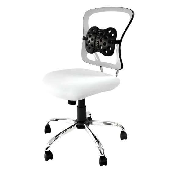 BACKJOY Lumbar Support Perfect Fit Lumbar Support Ergoworks