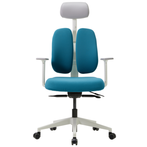 DUOREST D2500G DASW Gold Renewal Ergonomic Desk Chair White Frame 2