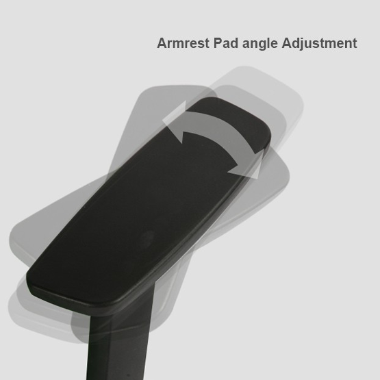 Duotex Office Ergonomic Chair D2-200-TS