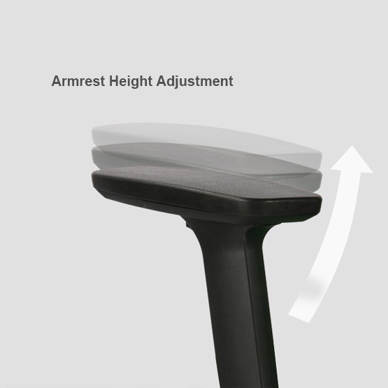 Duotex Office Ergonomic Chair D2-200-TS