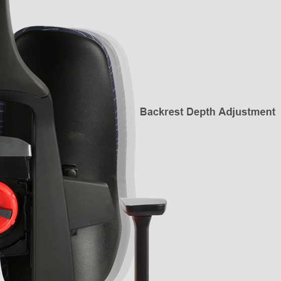 Duotex Office Ergonomic Chair D2-200-TS