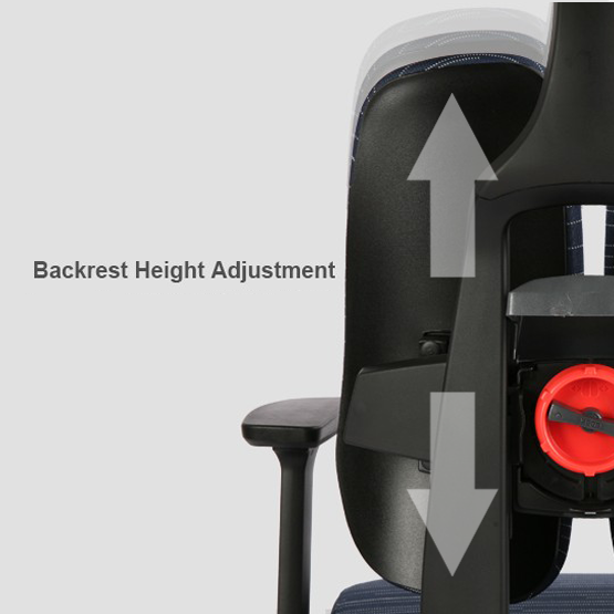 Duotex Office Ergonomic Chair D2-200-TS