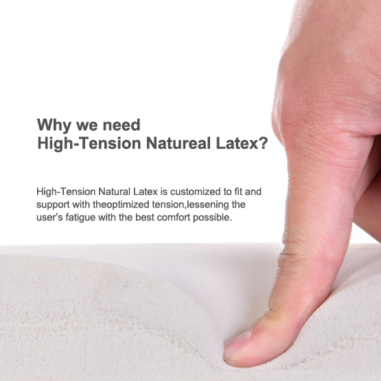 Duotex Office Ergonomic Chair D2-200-TS