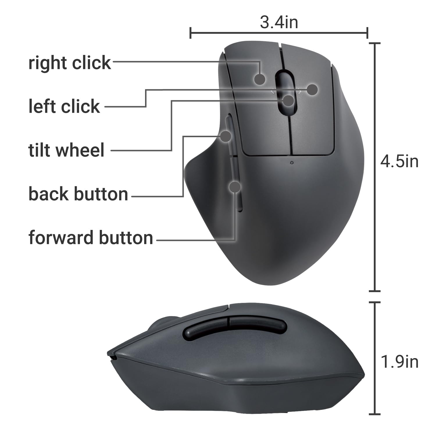 ELECOM SHELLPHA Bluetooth Mouse With Silent Click Anti-Bacterial Blue LED