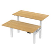 Dual Benching Electric Desk - Ergoworks 