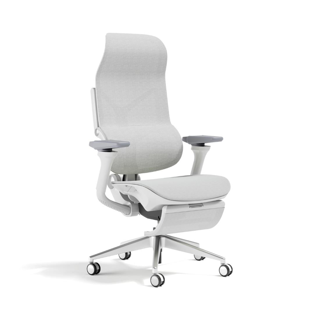 [New Launch] Falcon Chair (Pre-Order Only)