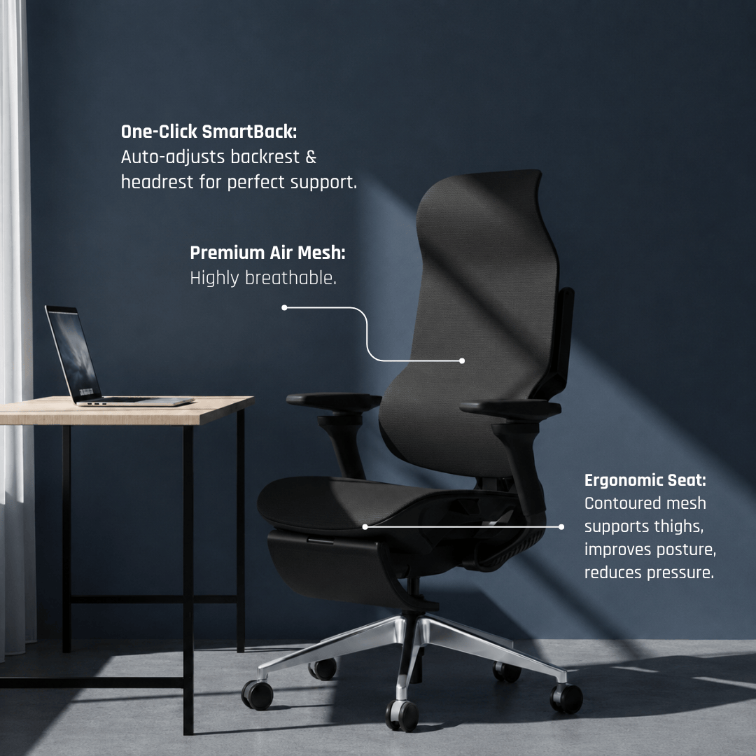 Falcon Chair Office Chairs Falcon Chair [Free Footrest Worth $150] Ergoworks