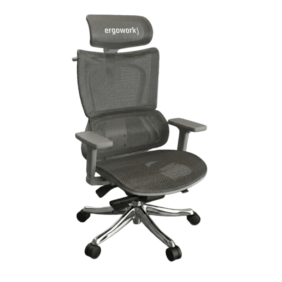 Ergoworks Office Chairs Grey Frame/Grey Mesh Truly Perfect Chair V2 Ergoworks
