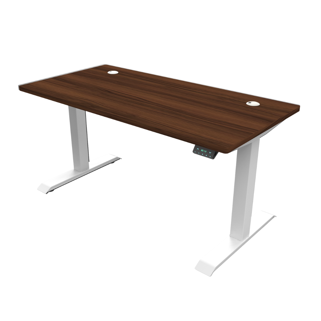 [Customizable] Signature Standing Desk, MFC Tabletop