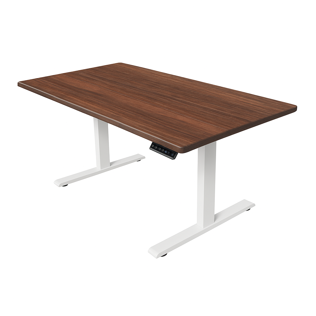 [SG60 Special] Signature Standing Desk (Ready Stock)