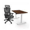 Signature Standing Desk, MFC Tabletop (Bundle)