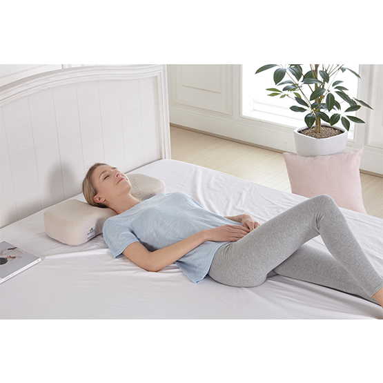 ERGOWORKS - EW-DPP-03 - Dual Plus Perfect Sleep Pillow