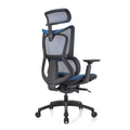 ERGOWORKS – Premium Best Ergonomic Chair | Truly Perfect Chair, EW-G881