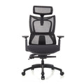 ERGOWORKS – Premium Best Ergonomic Chair | Truly Perfect Chair, EW-G881