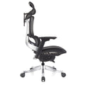 ERGOWORKS – Premium Best Ergonomic Chair | Truly Perfect Chair, EW-G881