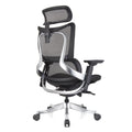 ERGOWORKS – Premium Best Ergonomic Chair | Truly Perfect Chair, EW-G881