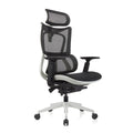 ERGOWORKS – Premium Best Ergonomic Chair | Truly Perfect Chair, EW-G881
