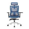 ERGOWORKS – Premium Best Ergonomic Chair | Truly Perfect Chair, EW-G881