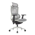 ERGOWORKS – Premium Best Ergonomic Chair | Truly Perfect Chair, EW-G881