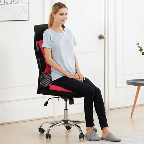Office Chair with Back Support | ERGOWORKS - EW-PPBL - Perfect Posture Backrest L